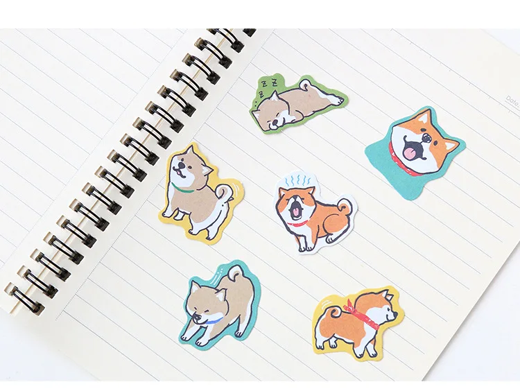 5089750647_577952424