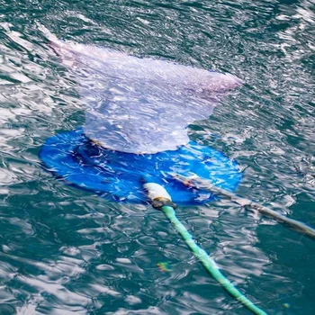 

Pool Cleaning Suction Head Superfine Mesh Bag Outdoor With Mesh Bag Swimming Pool Vacuum Cleaner Suction Head Pond Bottom Bath