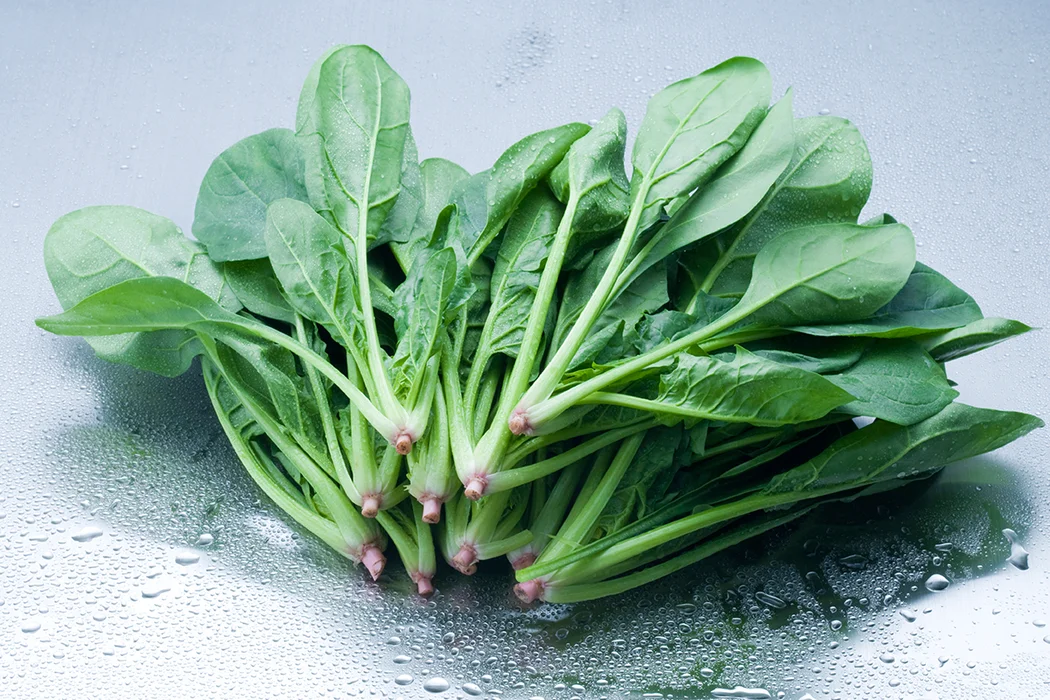 菠菜没你想的那么补血营养师:植物中的铁难吸收