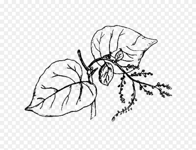 绘画-绘画PNG图片素材免费下载_图片编号3890062-PNG素材网