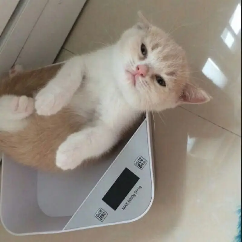 Кухонные весы для еды, кошек, собак, измерение веса, точность диапазона 1 г-5 кг, ЖК-дисплей