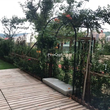 

Ngryise 1Pcs A Set climbing plant use arch door