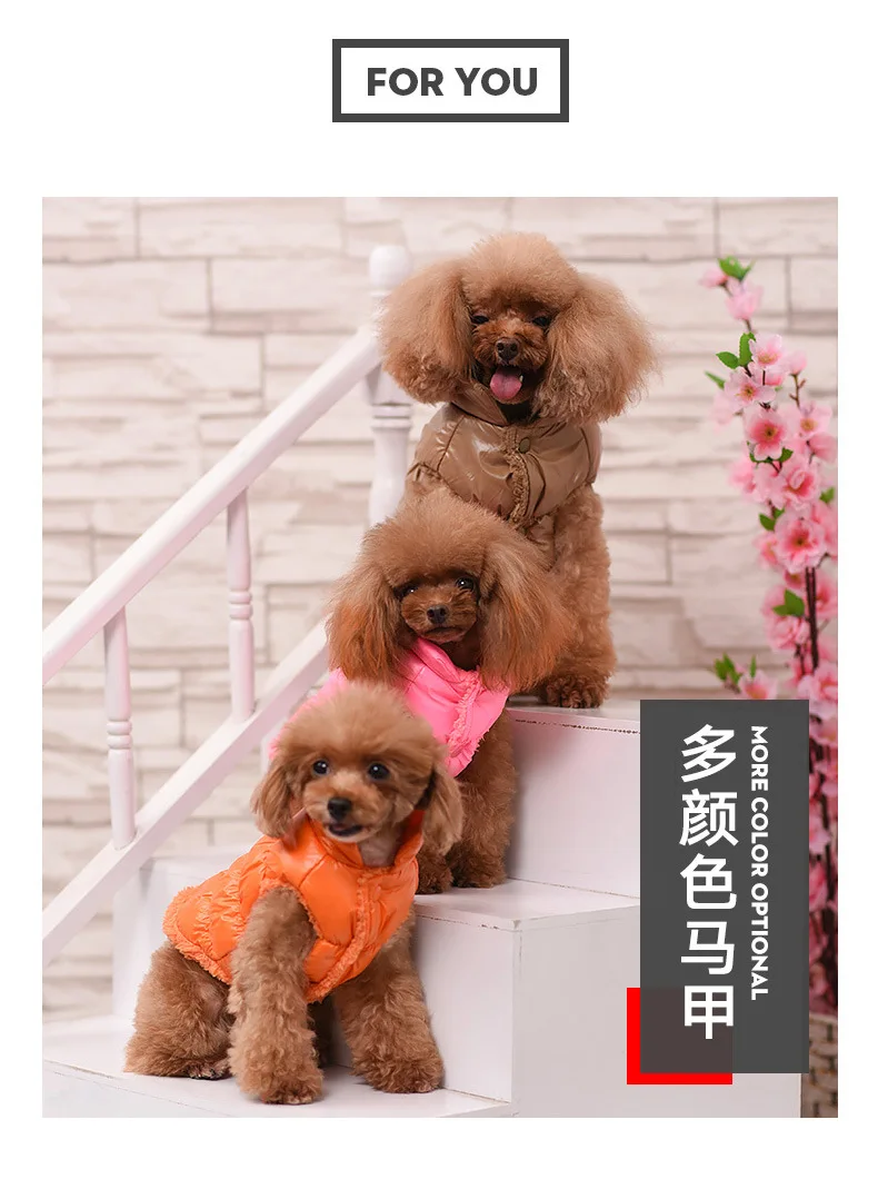 Winter pet dog clothes warm clothes for small dogs Chihuahua Teddy bear casual clothes pet vest clothes dog clothes down jacket
