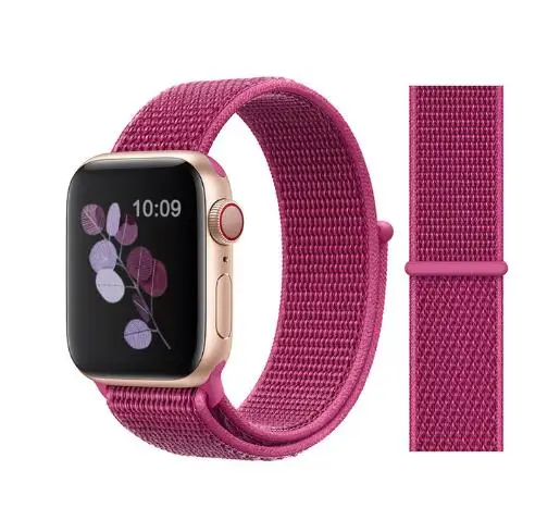 Dragon fruit Тканые нейлоновые ремешки для Apple Watch Series 5 40 44 мм Pride Pulseira нейлоновый ремешок для часов 38 42 мм верблюжий браслет Аляска синий - Цвет ремешка: Dragon fruit