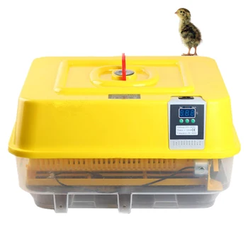 

Mini 42 Digital Brooder Cheap Fully Automatic Chicken Duck Egg Incubator Thermostat For Hatching 48 Quail Bird Poultry Eggs