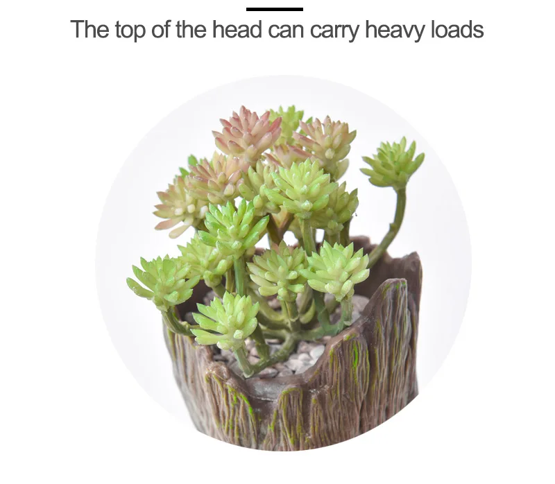 HTB1piHtahD1gK0jSZFsq6zldVXau