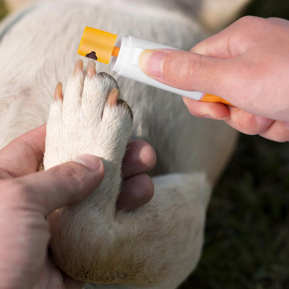 Electric Pet Nail Clipper Cat Painless Dog Nail Grinding File Kit Dogs Paw Nails Trimmer Pet Grinder Grooming Pedicure Tool