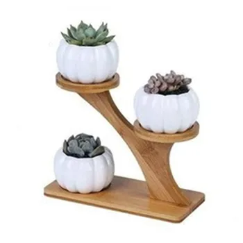 

Creative Minimalist Owl Pumpkin Bamboo Frame Flower Pot Succulent Ceramic Flower Pot Home Decoration Accessories A1133
