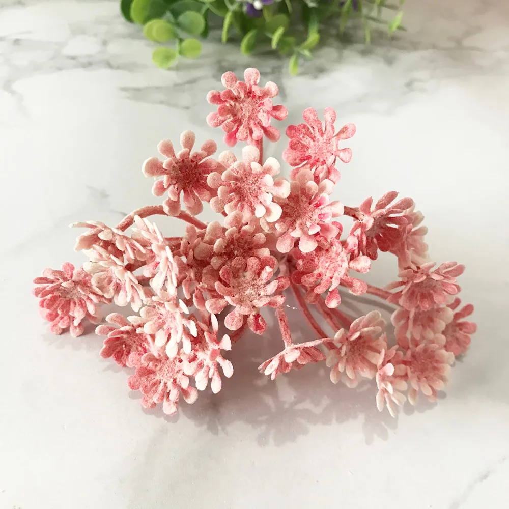 2020_07_09_17_57_IMG_8729 副本