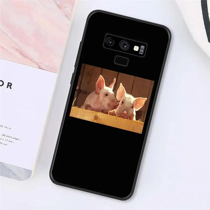 Cute Little Pink Pet Pig