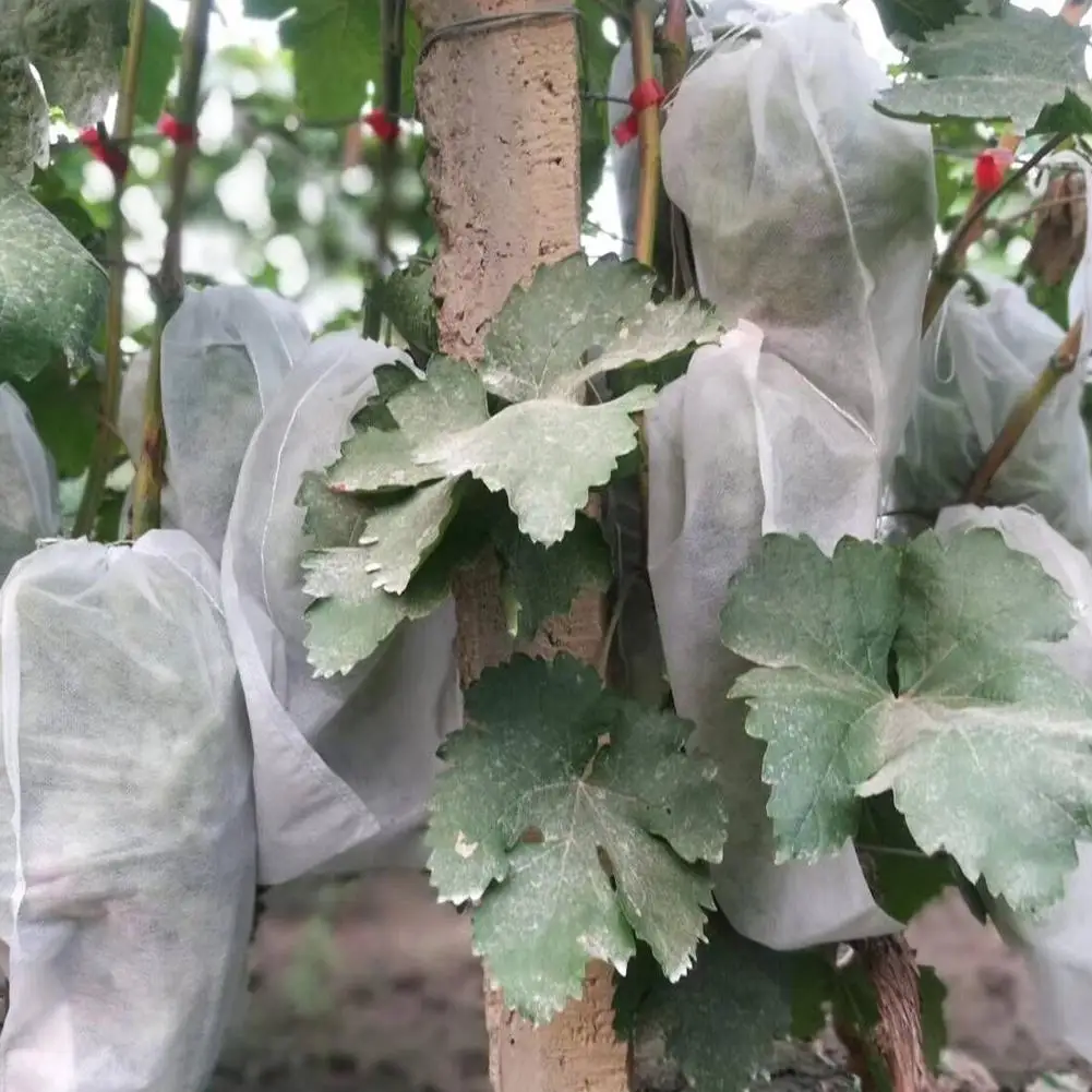 100 шт сумки для защиты винограда для фруктов овощей виноград сетчатый мешок против насекомых водонепроницаемый борьбы с вредителями анти-птица сад