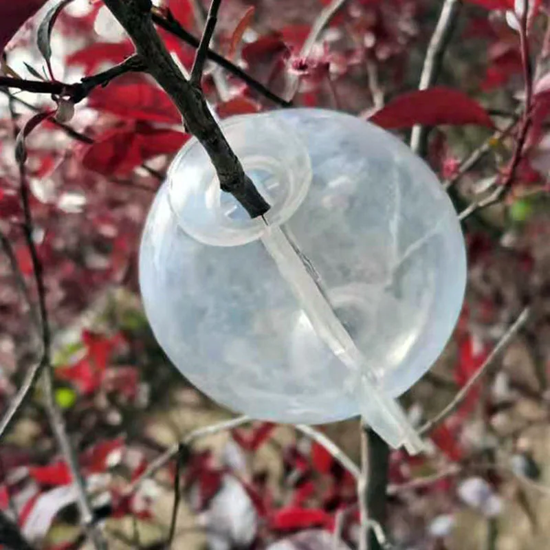10/20x Plant Rooting Ball Grafting Rooting Growing Box Transparent Breeding seeding Case Container Nursery Box Root Garden Tool