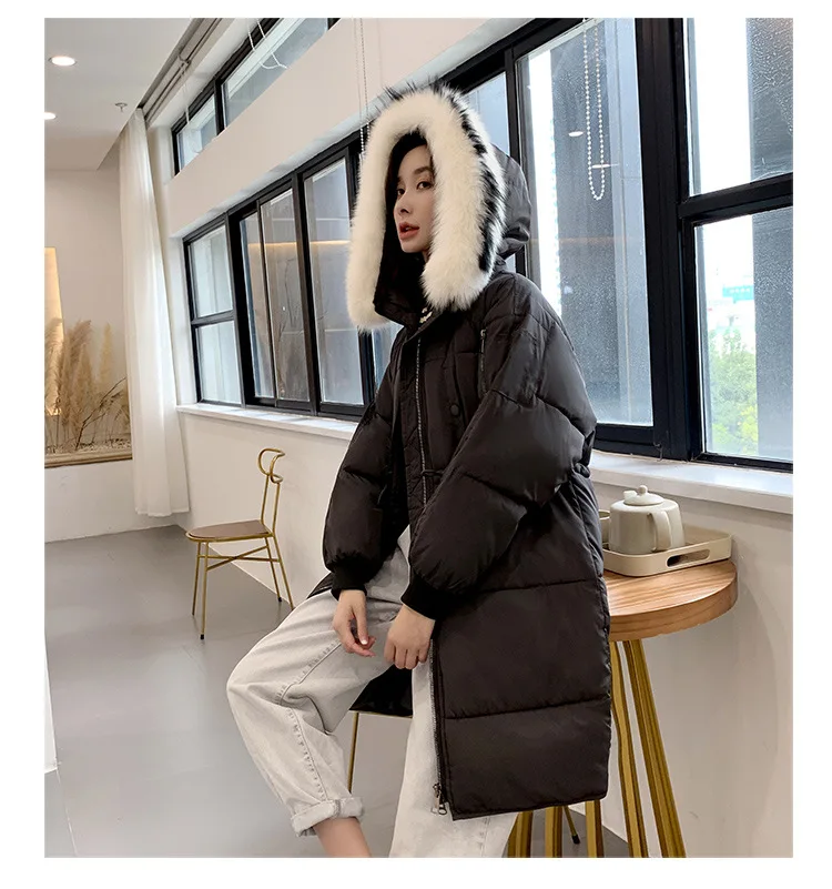 Cotton_23.jpg