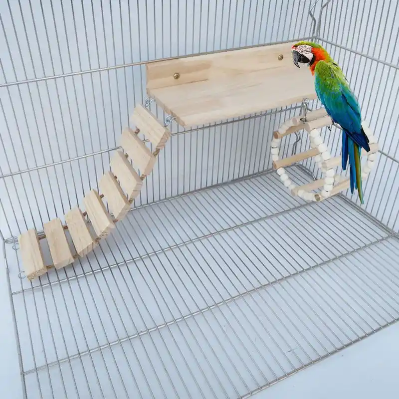 bird hamster wheel