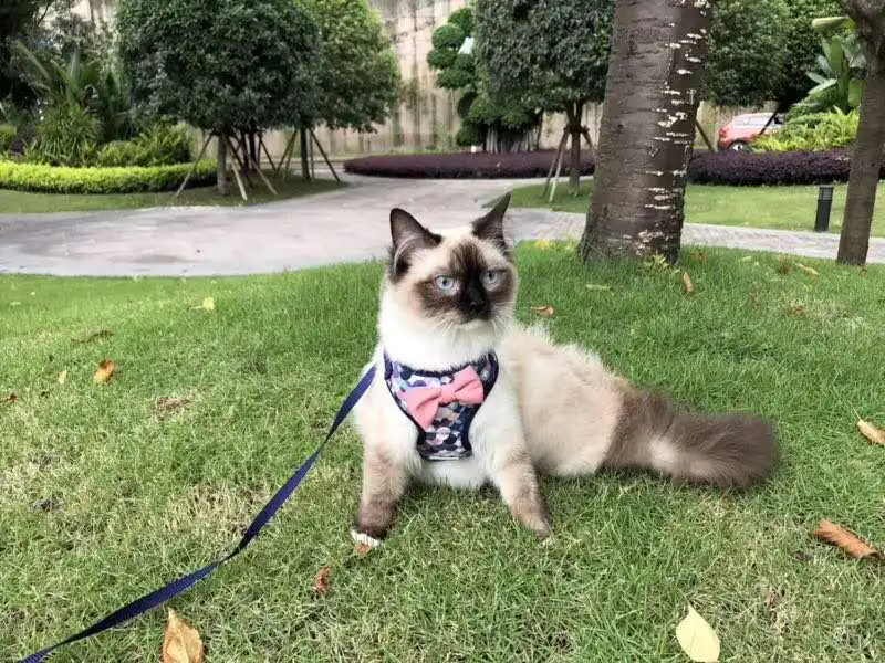 å¾<ALIMT >&reg;</ALIMT>ä¿¡å¾ç_201906121548323 (1)