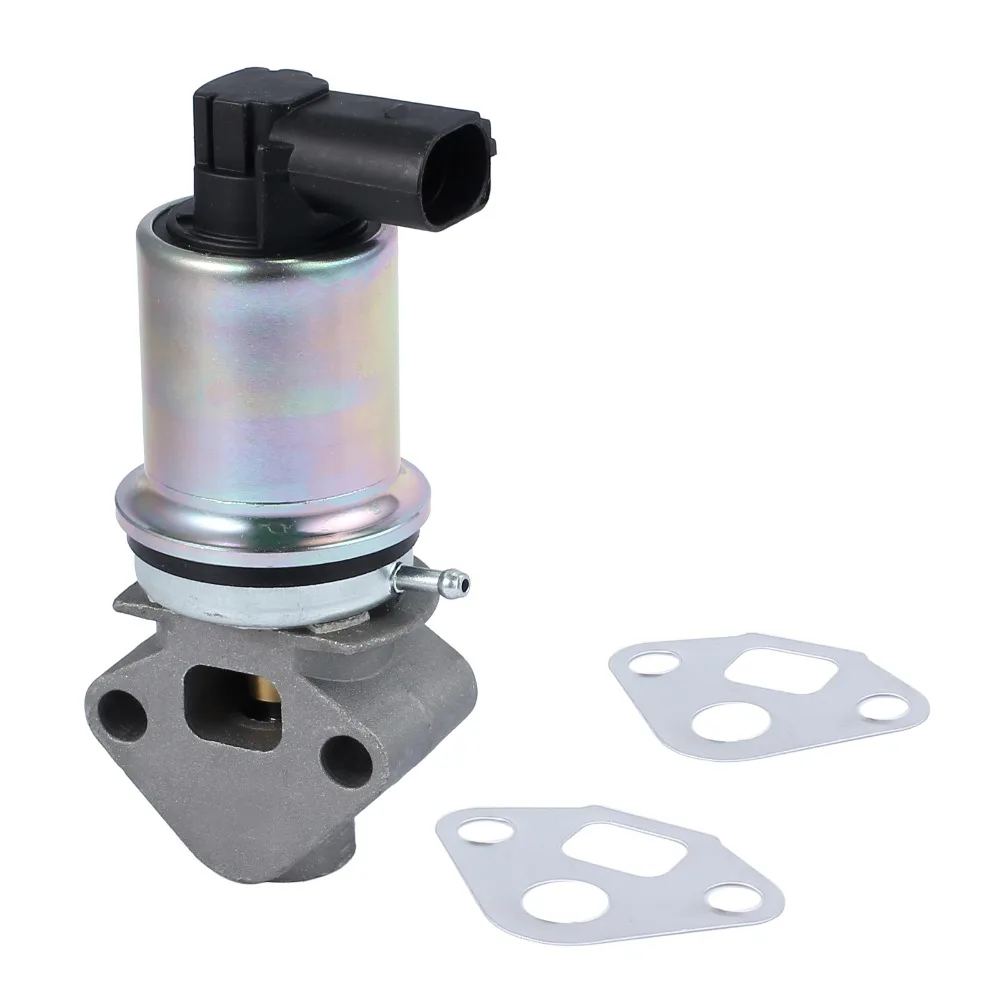 IMG_9862