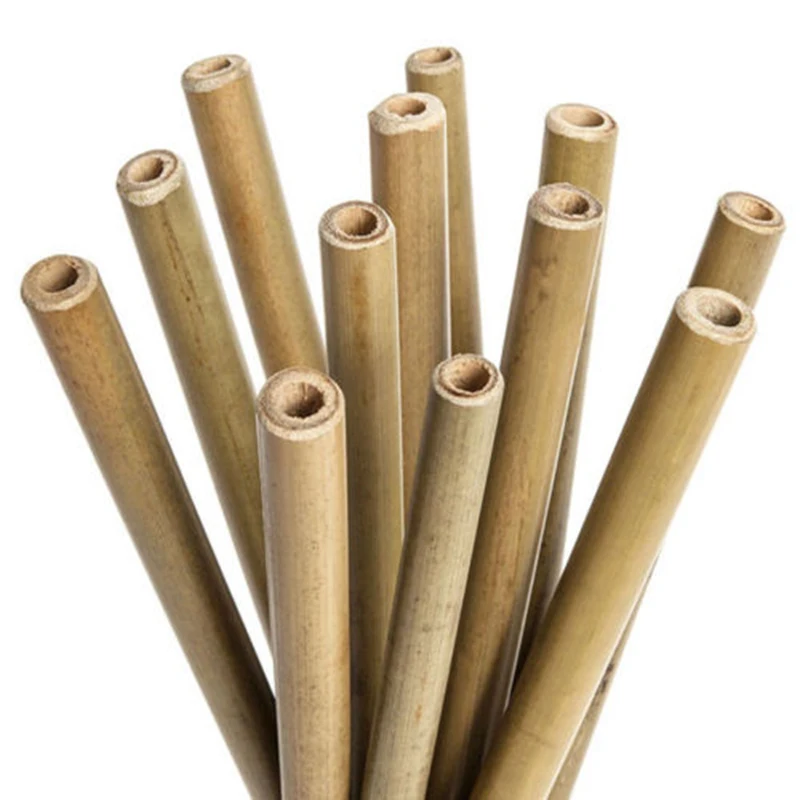 10X Natural Organic Bamboo Drinking Straws With Straw Cleaner Reusable Supplies
