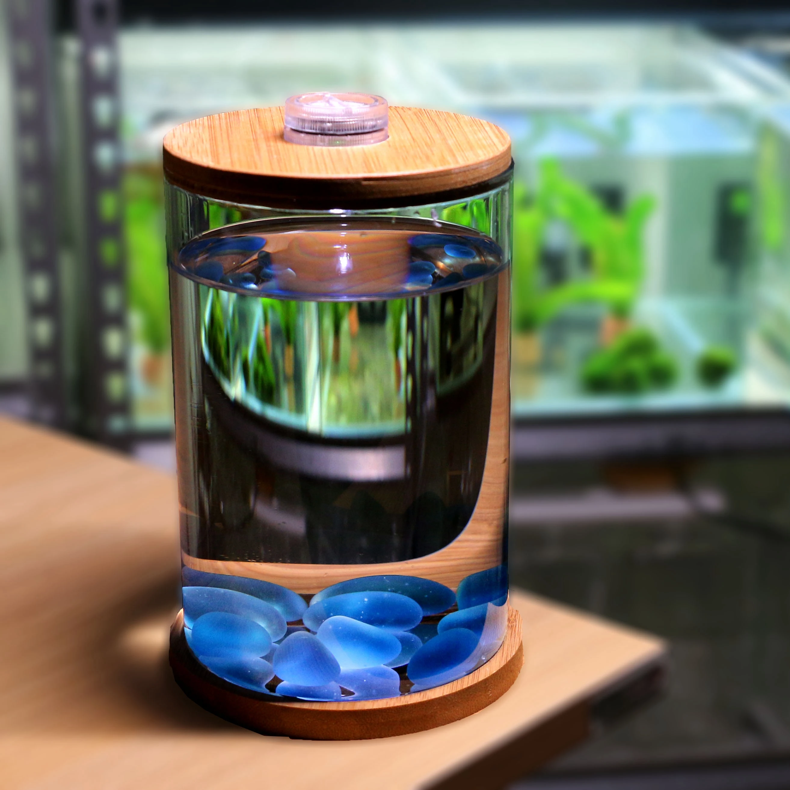 Dou Fish Tank Office Desktop Creative Microview Mini Small Glass Tropical Fish Tank Aquarium Ecological Bottle Aquarium Tank