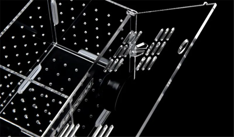 亚克力孵化隔离盒1