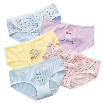 

5Pcs/lot Cotton Panties Cute Cartoons Print Underpants Low Waist Briefs Women's Lingerie Breathable Underwear Female Intimates
