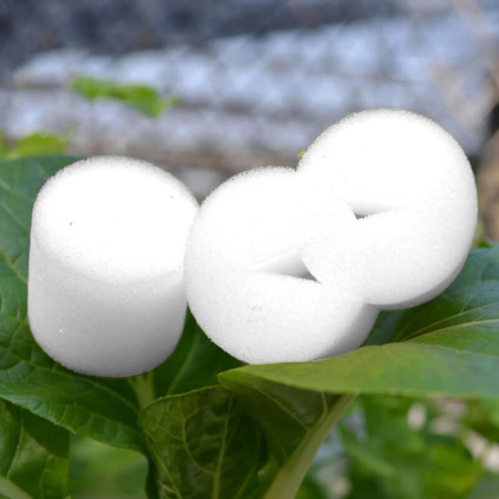 100Pcs Soilless Hydroponic Cylinders Sponge Plants Vegetable Seed Cultivation System For Fixing Nursery Pots Plants Root