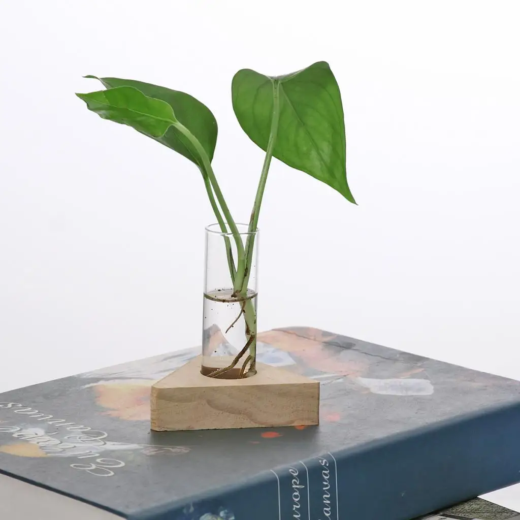 Glass Test Tube Vase in Wooden Stand Flower Pots for Hydroponic