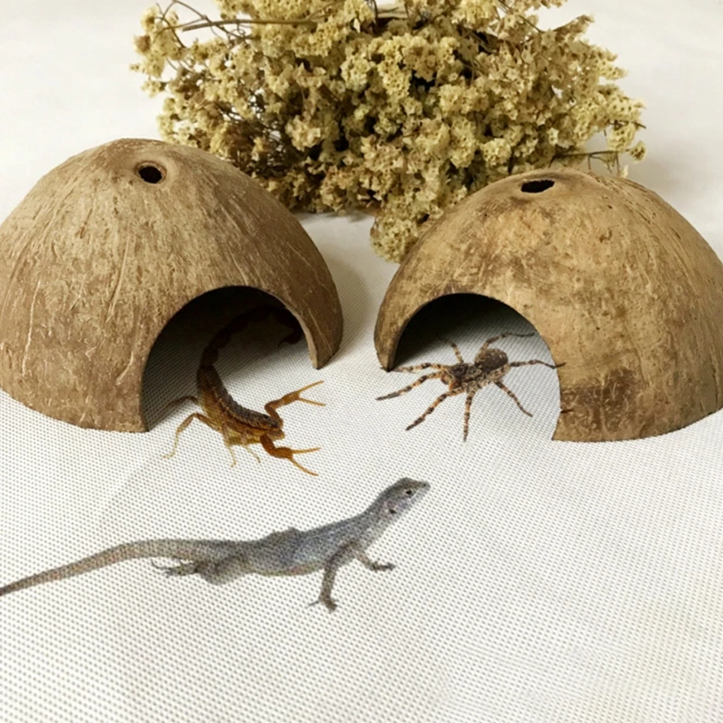 Lagarto M.Z.A Casa de camarones para Reptiles de Coco Natural para Acuario araña Gecko decoración de Tortuga Serpiente dragón 