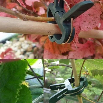 

100 Plant Clips Plant Clips Plant Holders Plant Binders Climbing Aids in 2 Sizes (40 Large + 60 Small)