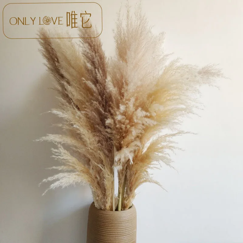 Wedding Decor Pampas Grass Real Flowers Reed Naturals Plant Bouquets Stems P3D1