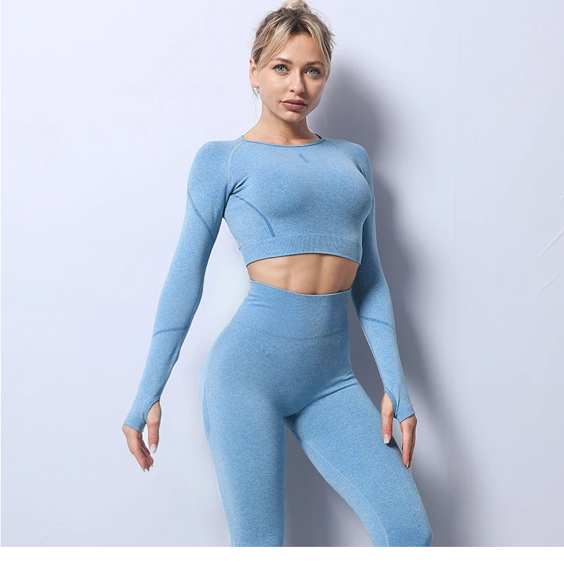 2PCS Seamless Yoga Set Women Tracksuit High Waist Leggings Workout Sportswear Gym Clothing Fitness Crop Top Sports Suits Gym Set