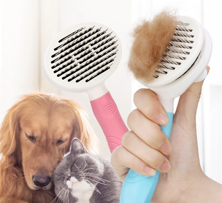 10554969428_994056887