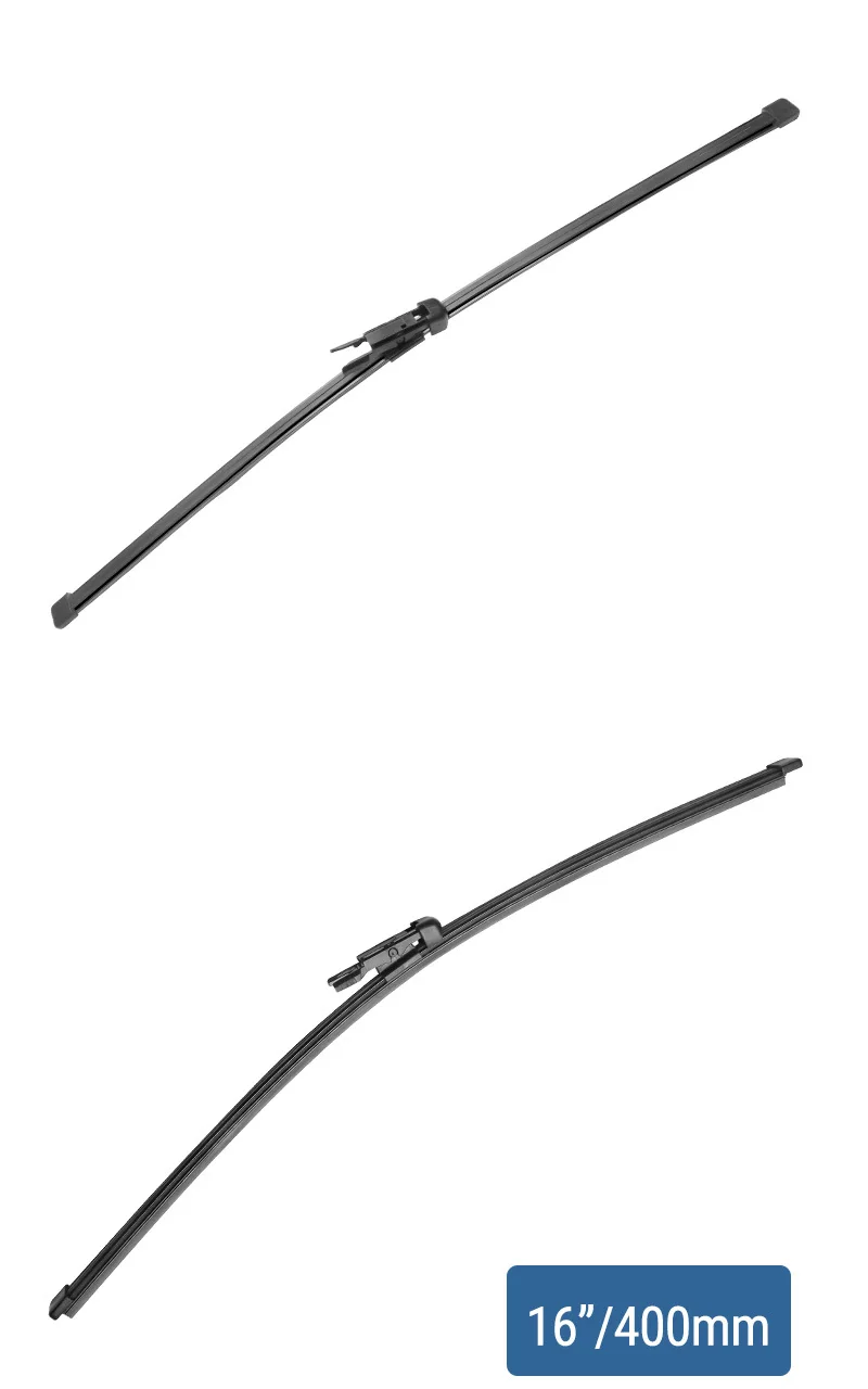 RB290_01