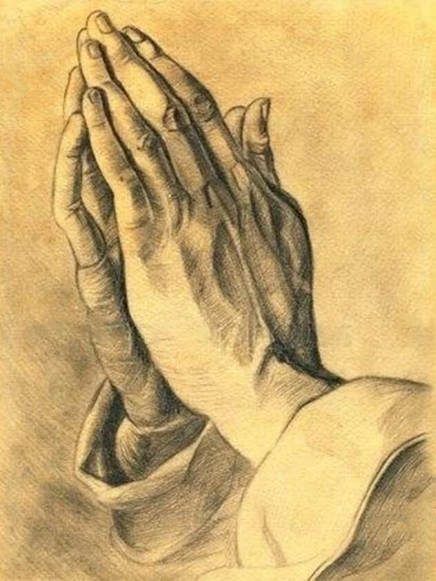 QQ截图20190808124927_副本