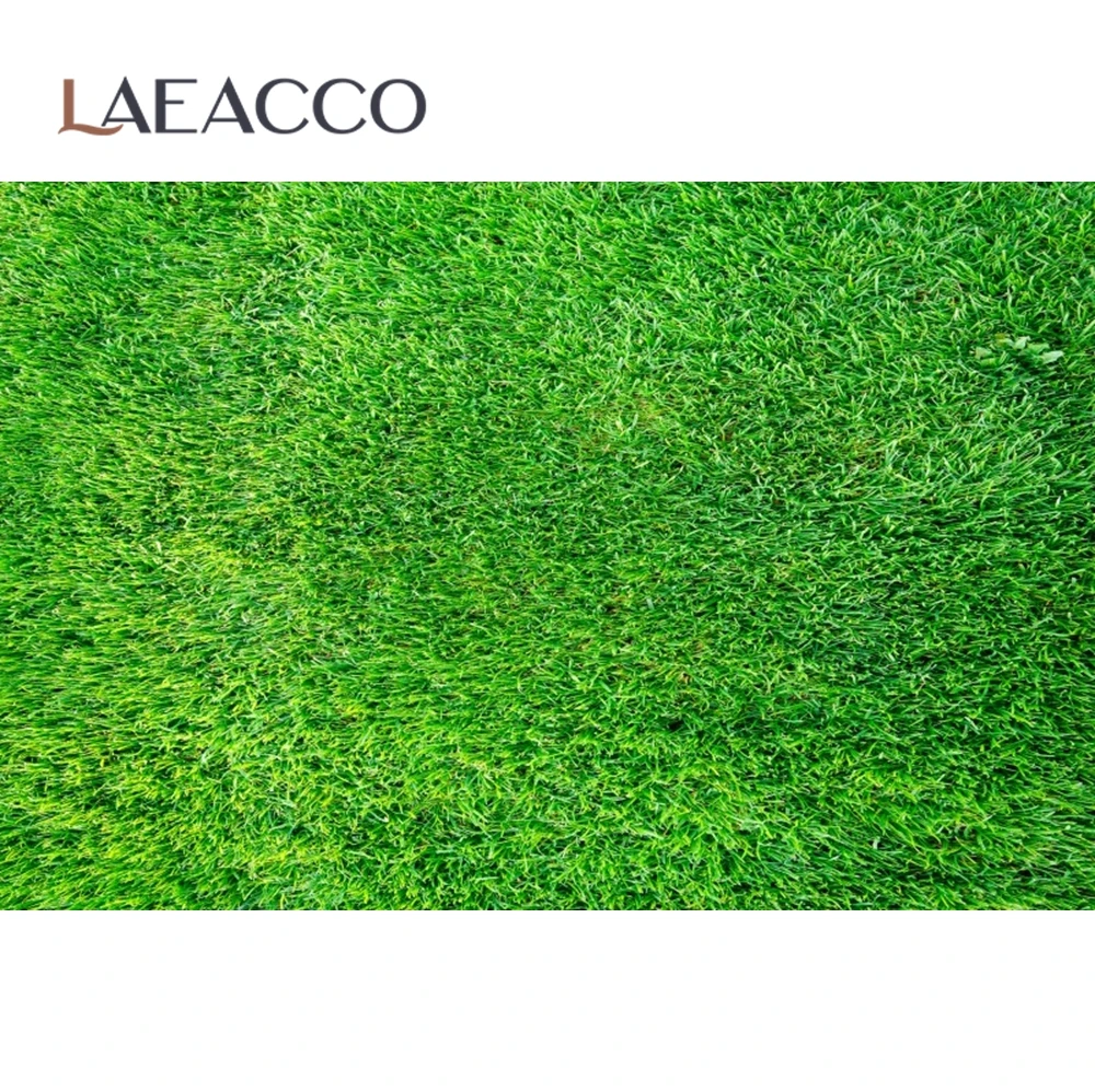 Laeacco 녹색 봄 잔디 건초 스택   애완 동물 인형 초상화 사진 배경 사진 배경 사진 스튜디오