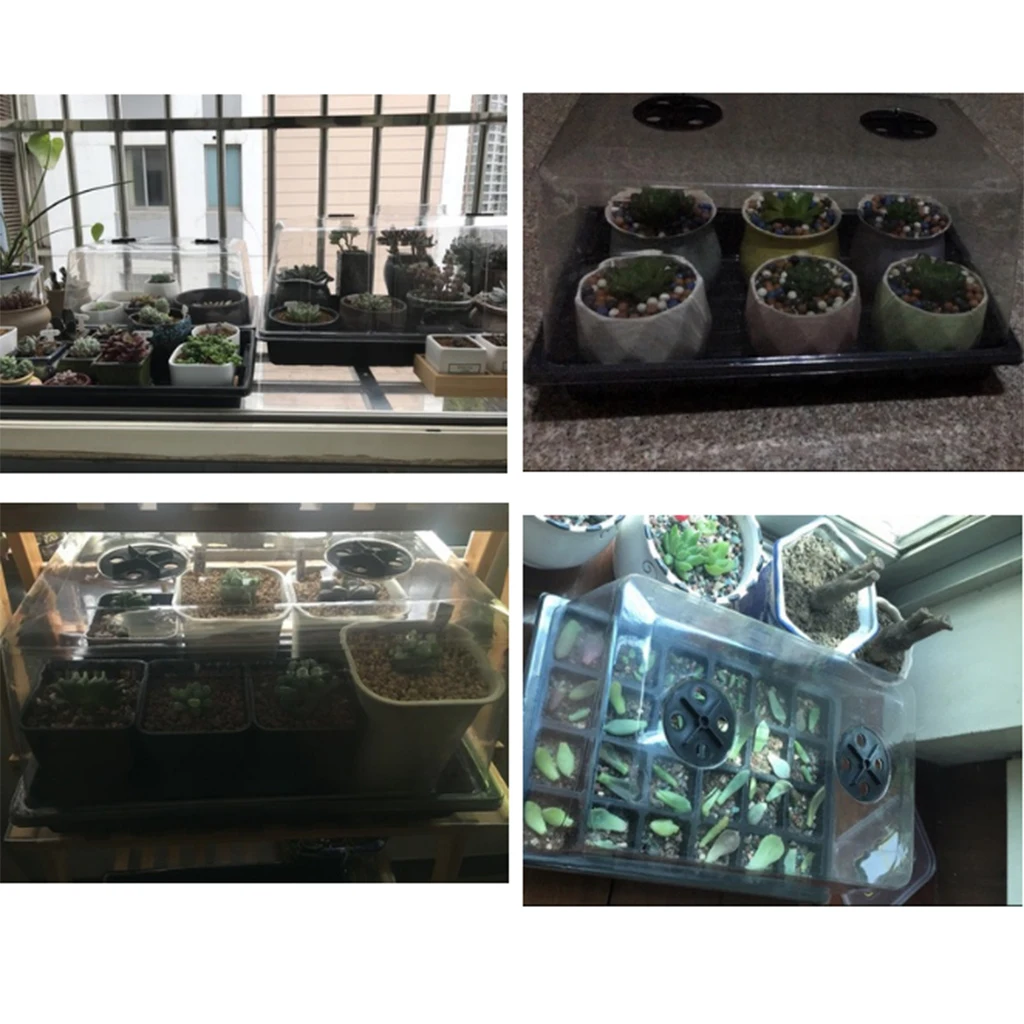 Growing Box 24 Cells Greenhouse Seed Trays Garden Tool Supplies