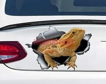 

Creative Car Stickers Bearded Dragon Car Sticker, Pet Decal Vinyl Decal Sticker, Suitable for Car Window Wall Laptop