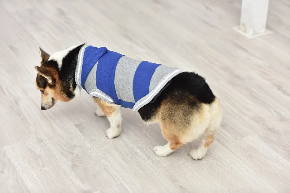 Одежда для домашних собак удобные мягкие толстые теплые толстовки для собак модная осенняя одежда для собак для маленьких средних собак Тедди