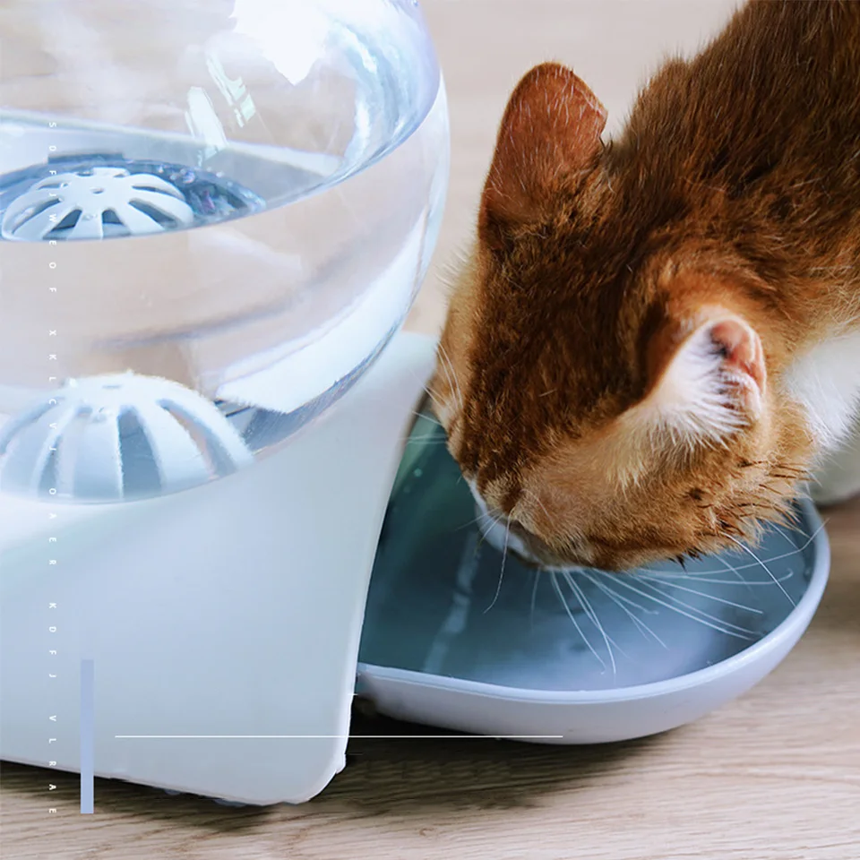 bubbling cat water dispenser