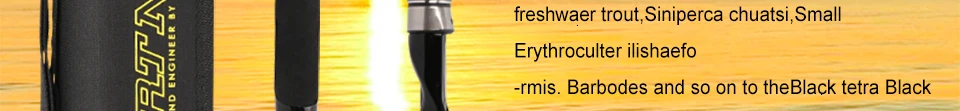 ENG_03