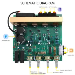 DX-2.1 большой усилитель звука доска канальный сабвуфер высокой мощности двойной домашний кинотеатр AC18V-24V DIY