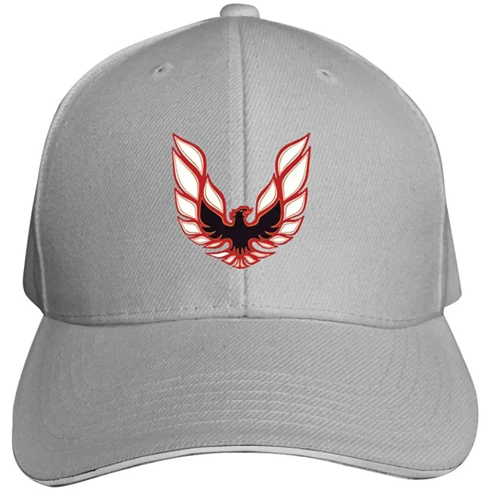 TSDFCPontiac Транс АМ жар птица бейсбольные кепки Snapback модные бейсболки для женщин и