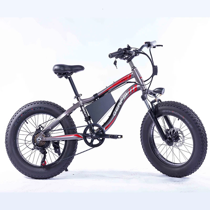 

Fat Tire Electric with 36V 10Ah Removable Lithium-Ion Battery 20 inch Ebike with 350W Motor and 7 Speed Gears Shifter