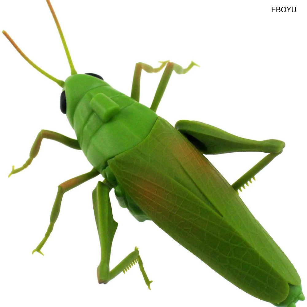 EBOYU RC Grasshopper Remote Control Grass Hopper Animal Toy Electronic Locust Fake Insect Car Vehicle Kids Birthday Gifts 2