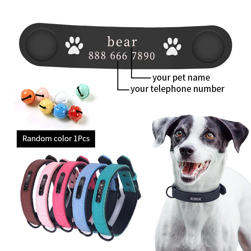 Personalized dog collars and tags Clearance