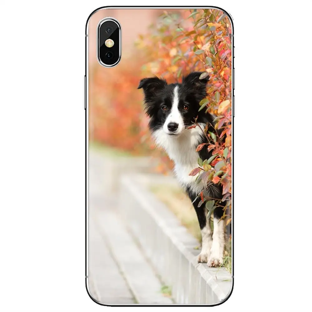 Силиконовый чехол для телефона Border Collie Dog Для Huawei G7 G8 P7 P8 P9 P10 P20 P30 Lite Mini Pro P Smart 2017 2018