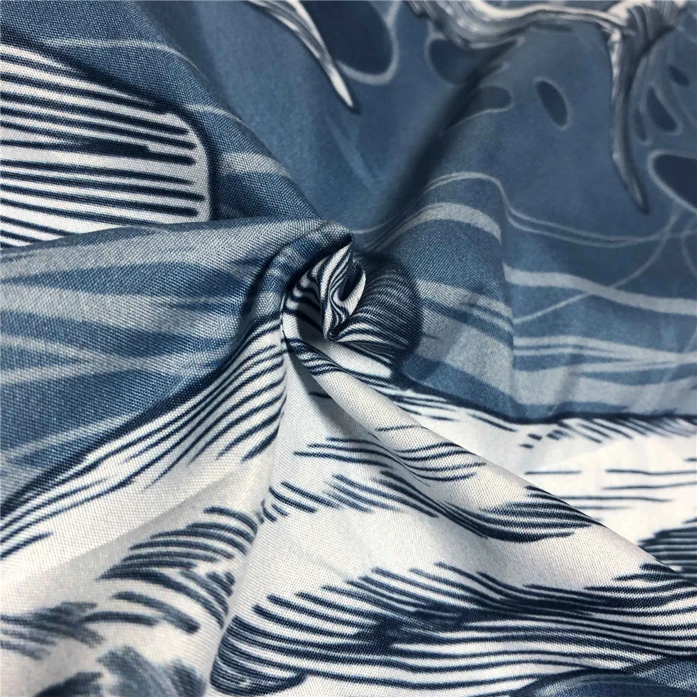 腾梦鲨鱼2