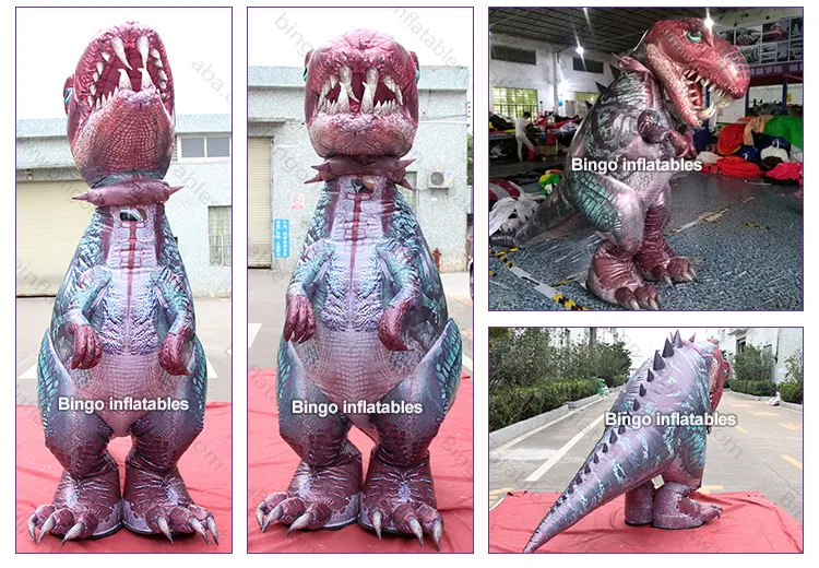BG-C0288-Inflatable Dinosaur Cartoon_3