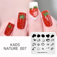 KADS Nail Stamping Plates Nature 007 Various Color Fruit Image Nail Art Stamp Template Stencil for Nails Manicure tool Print 1