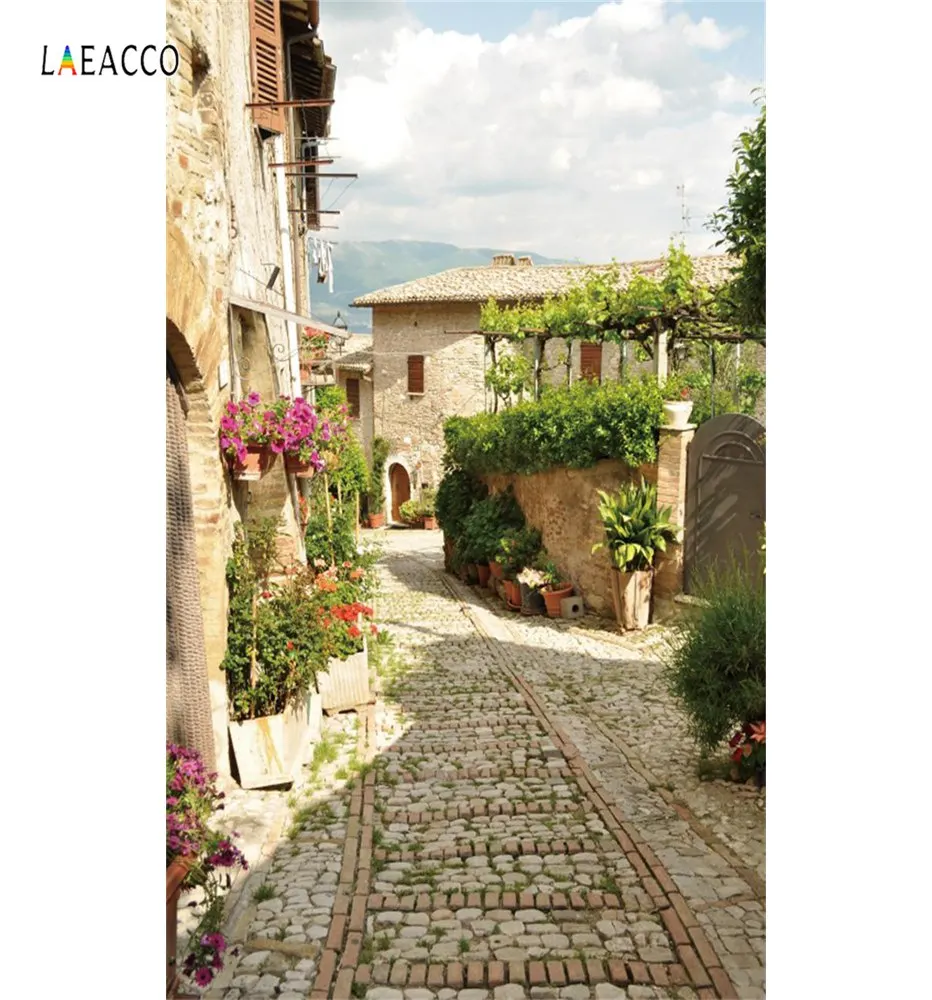 Laeacco Старый город горшках с цветочной Alley коридор дом живописные фото Фоны фотографии фонов для фотостудии