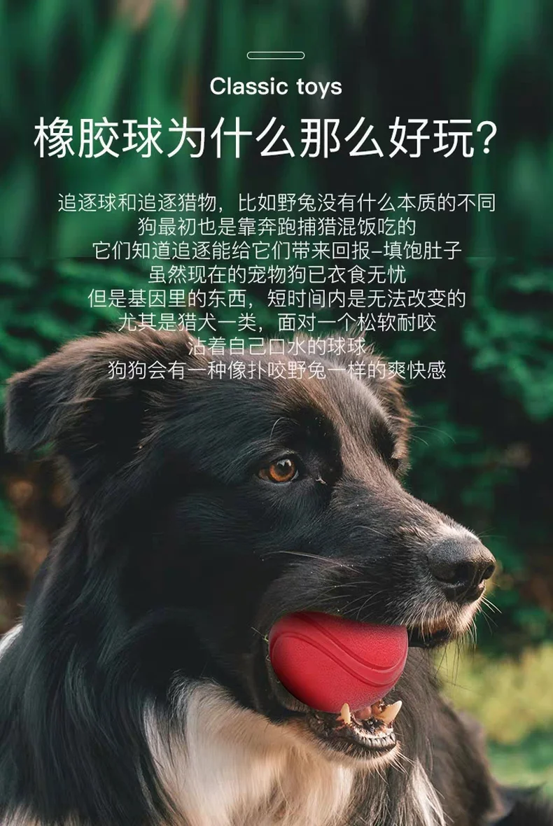 Pet dog bite is not bad ball твердый TPR эластичный мяч для дрессировки собак мяч для укуса игрушка для собак мяч для дрессировки домашних животных
